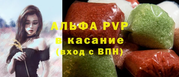 СК Белокуриха
