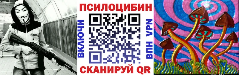 где можно купить наркотик  Сковородино  Галлюциногенные грибы Magic Shrooms 